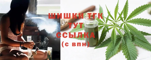 бошки Дмитриев